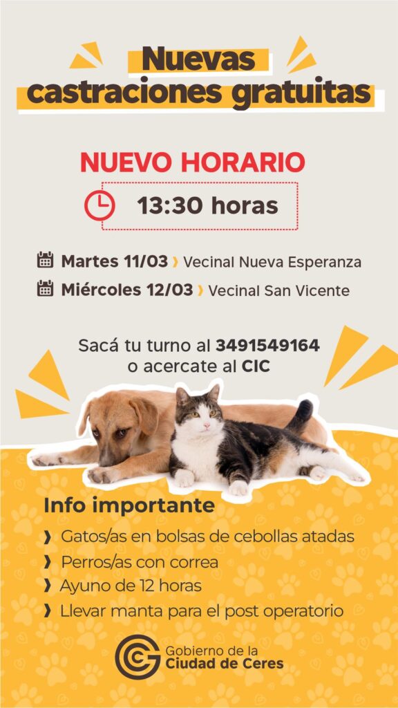 WhatsApp Image 2025 03 10 at 10.42.26