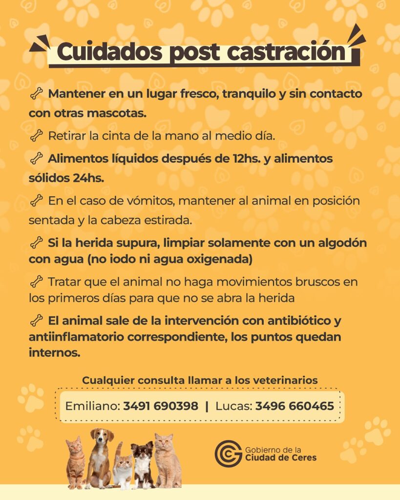 CASTRA2