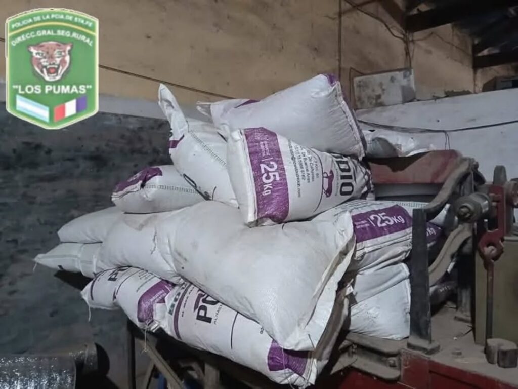 Secuestran 50 bolsas de alfalfas robadas y detienen a un sujeto de Hersilia 2 bolsas