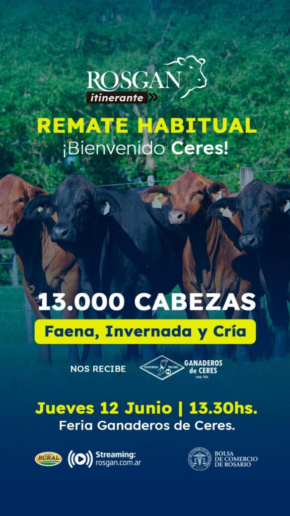Con 13 mil cabezas Ganaderos de Ceres se prepara como anfitrión del Rosgan 2 rosgan 1