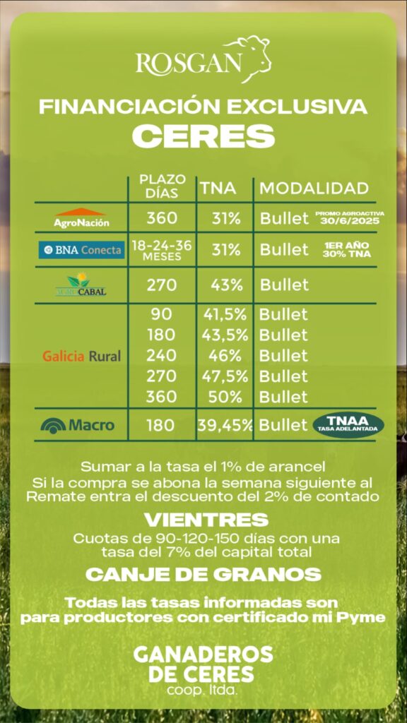 Con 13 mil cabezas Ganaderos de Ceres se prepara como anfitrión del Rosgan 4 rosgan 2