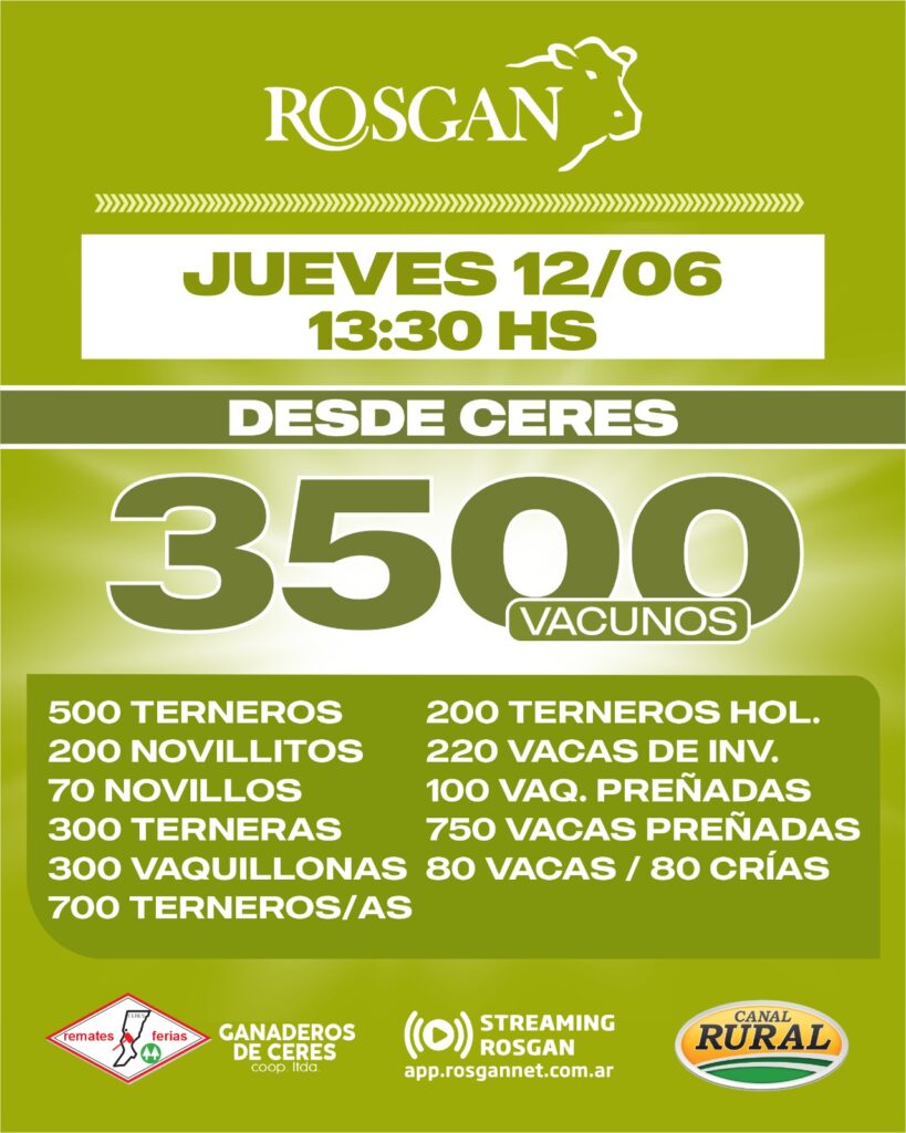 Con 13 mil cabezas Ganaderos de Ceres se prepara como anfitrión del Rosgan 3 rosgan