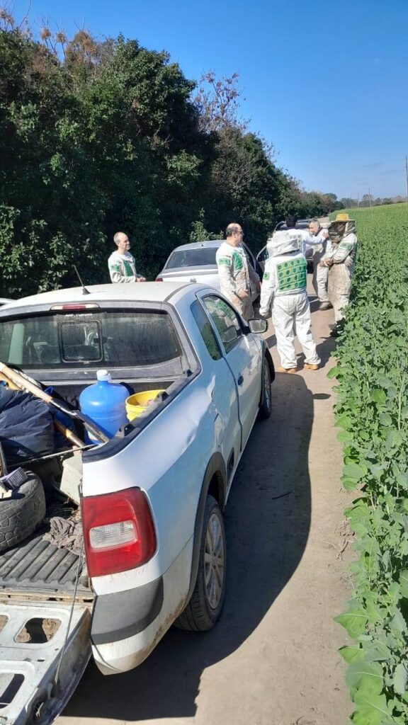 529167936 1071566511755109 2837456692071094068 n