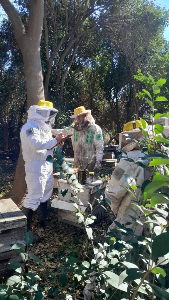 529332608 1071566481755112 5668741433816741879 n