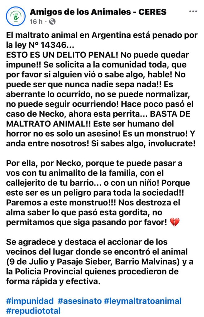 Extrema crueldad: Apareció una perra apuñalada y despellejada 2 amigos de los animales