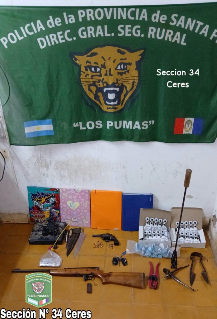 los pumas 4