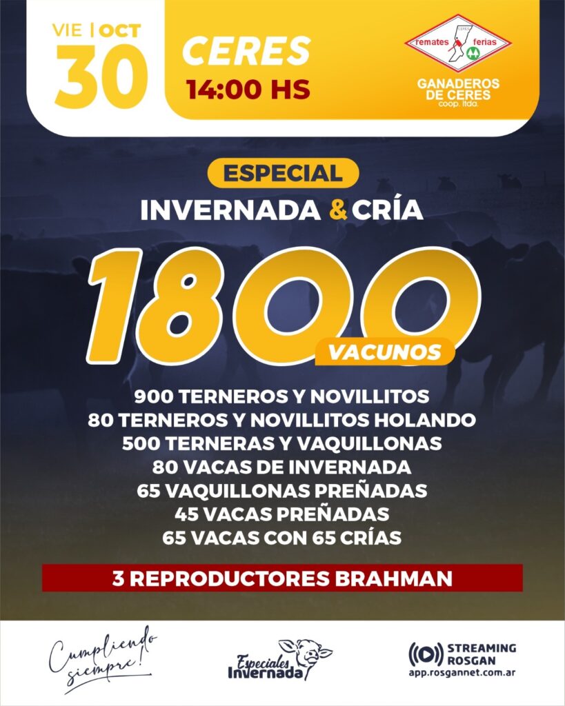 691bfa9e 83bc 44e2 a9d8 46942f3444ec