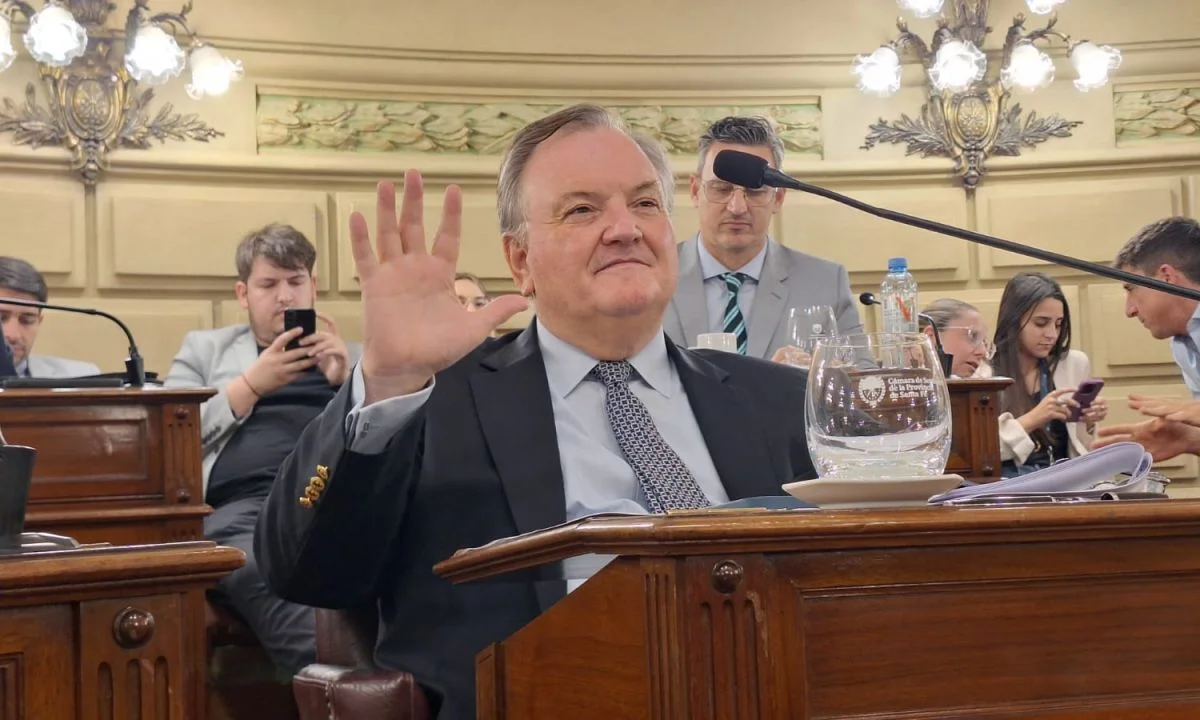Media sanción para la creación de un Juzgado Civil, Comercial y Laboral, para el suroeste del Dpto. San Cristóbal 1 felipe michlig