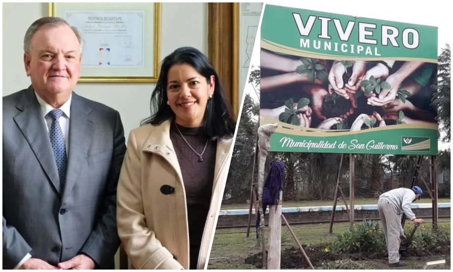 aporte viviero sg