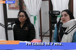 fer cejas