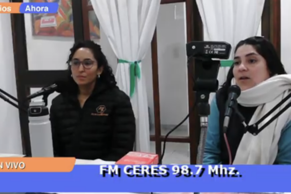 fer cejas