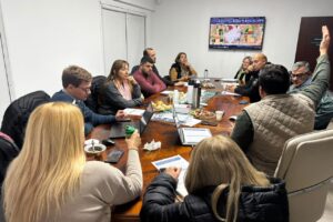 junta de defenza civil ceres