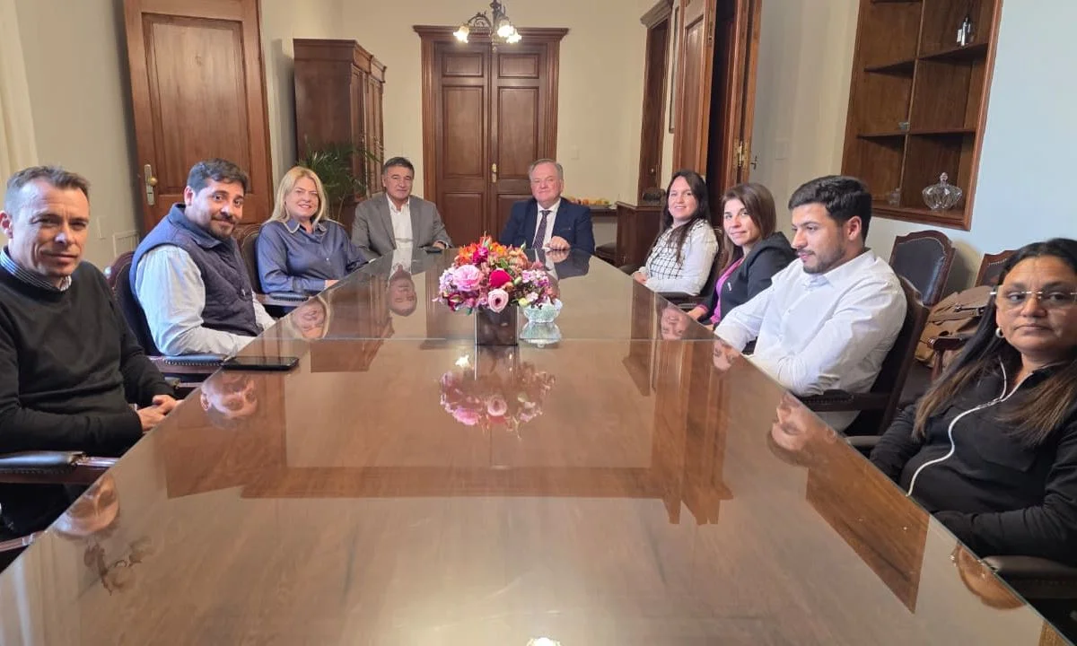 reunion senado 1